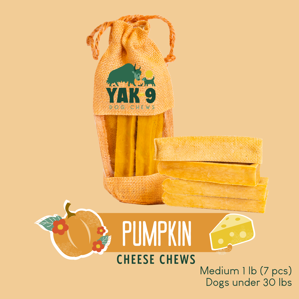 Pumpkin Yak Chews for Dogs