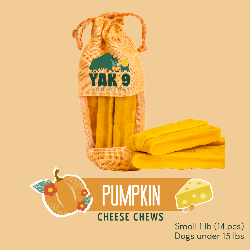 Pumpkin Yak Chews for Dogs