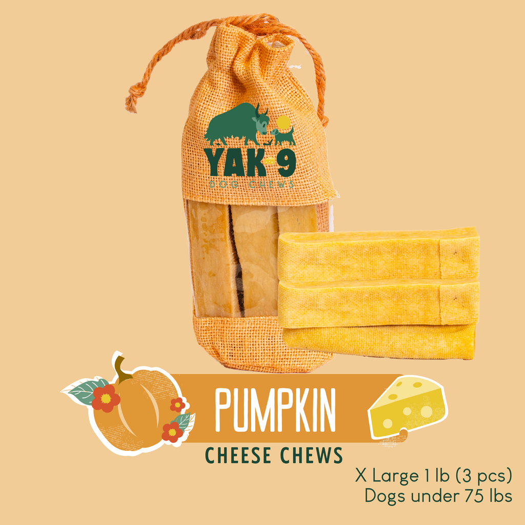 Pumpkin Yak Chews for Dogs