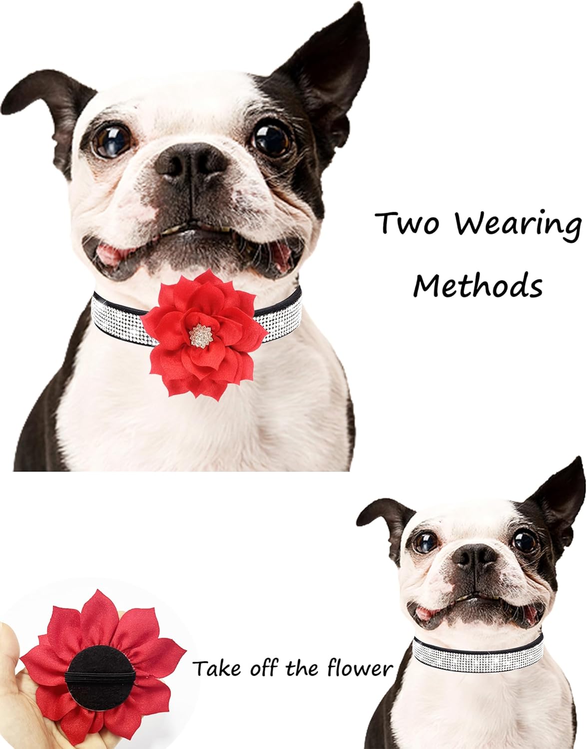 Rhinestone Sparkly Flower Dog Collar with Detachable Bloom
