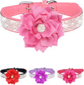 Rhinestone Sparkly Flower Dog Collar with Detachable Bloom