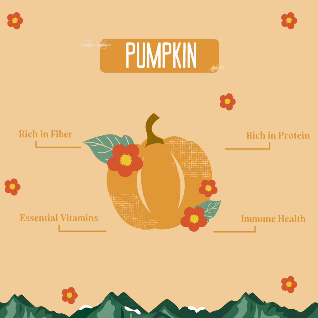 Pumpkin Yak Chews for Dogs