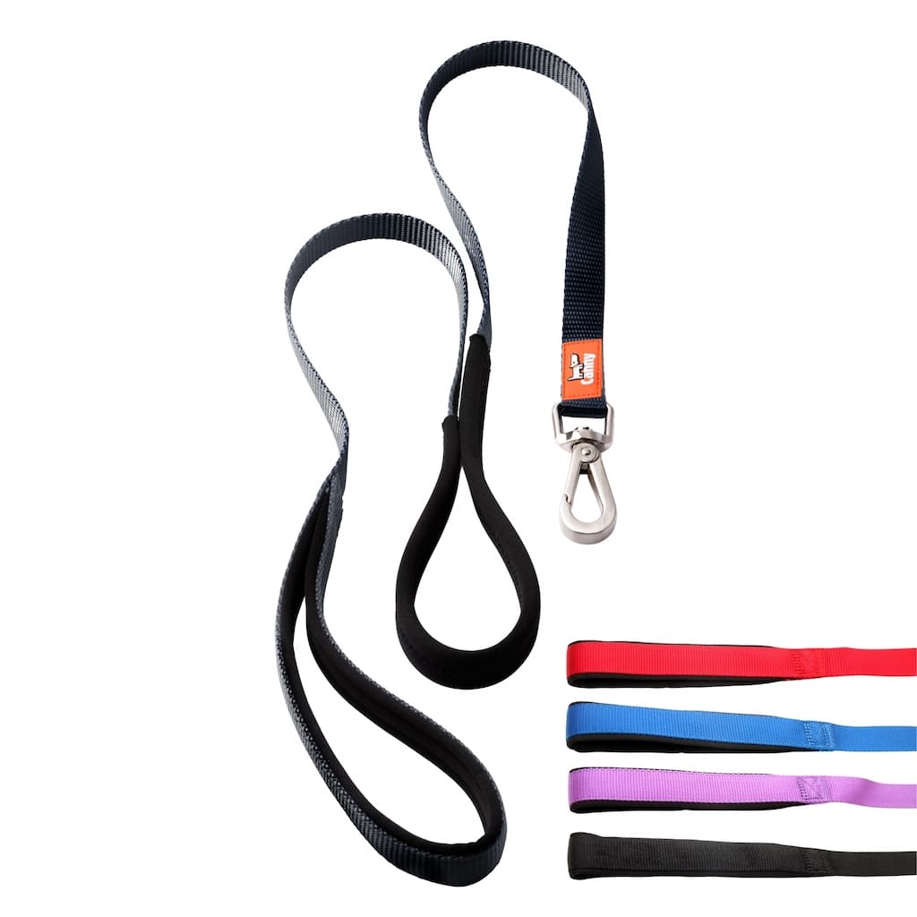 Canny Leash