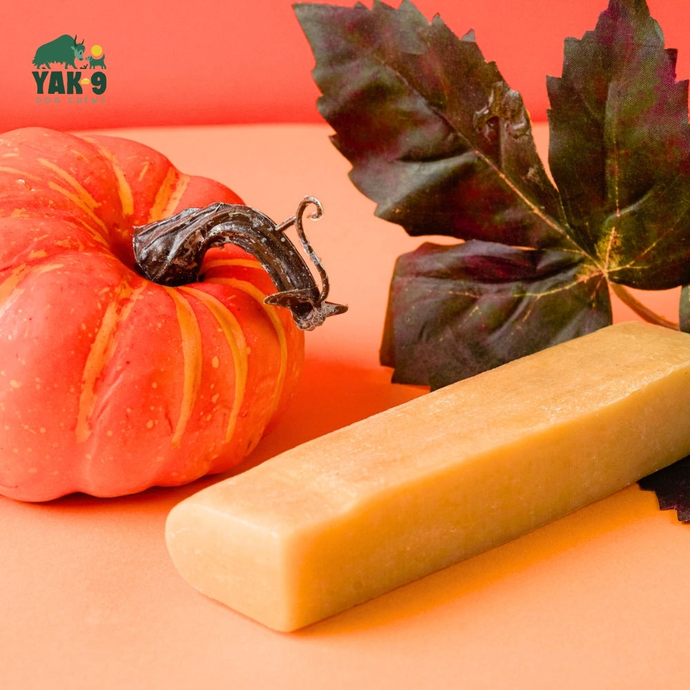 Pumpkin Yak Chews for Dogs