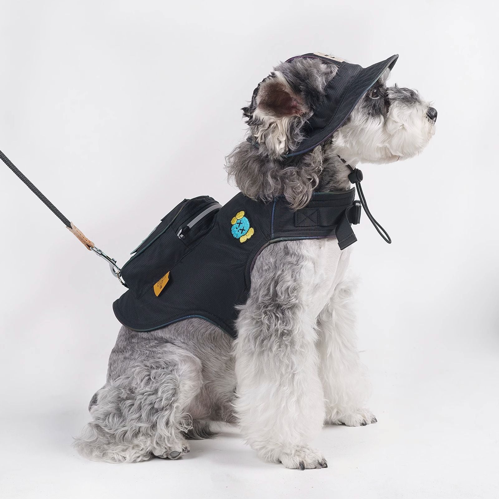 Black Dog Backpack Harness and Hat Set