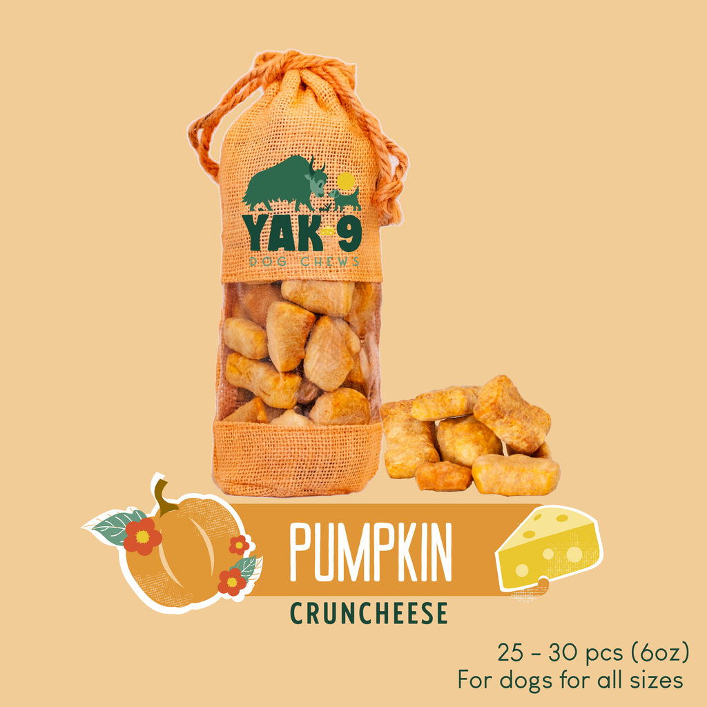 Pumpkin Yak Chews for Dogs