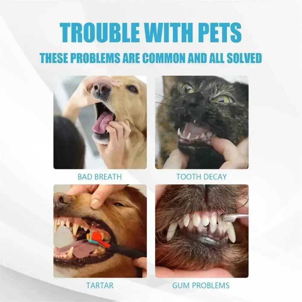 Complete Pet Toothbrush And Toothpaste Kit