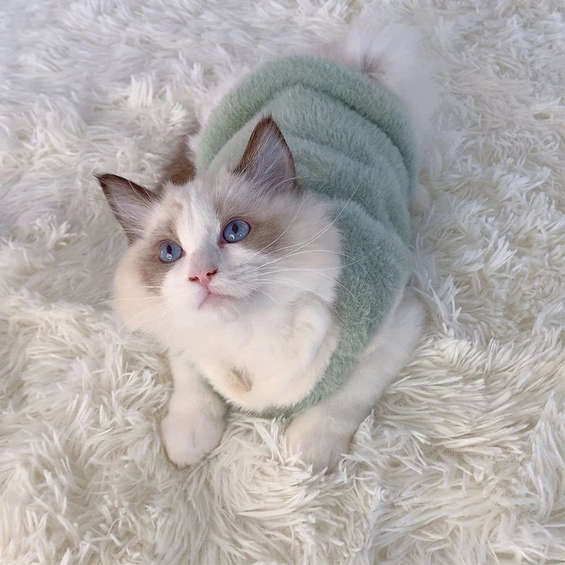 Warm & Stylish Cat Sweater for Winter Comfort