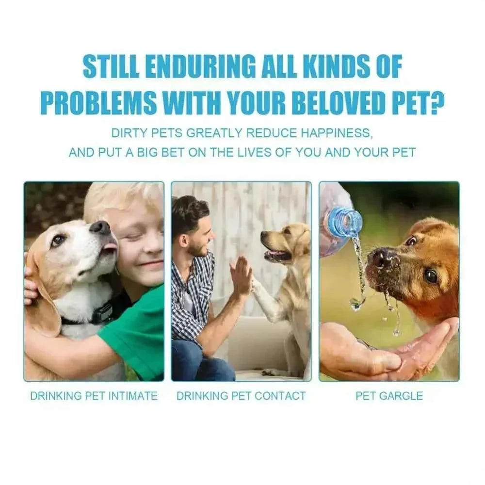 Complete Pet Toothbrush And Toothpaste Kit