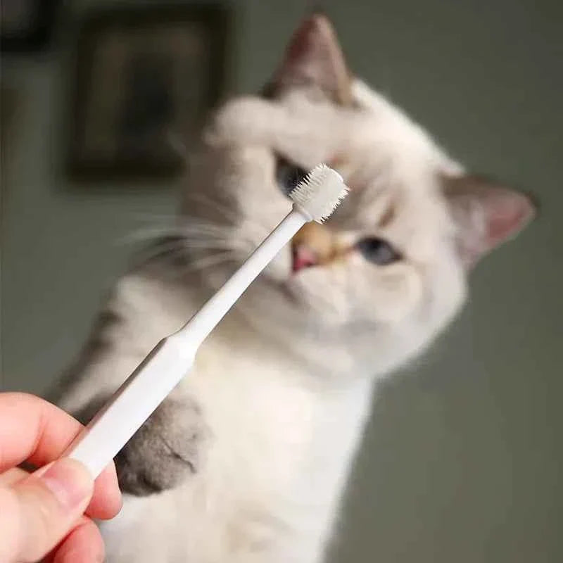 Complete Pet Toothbrush And Toothpaste Kit
