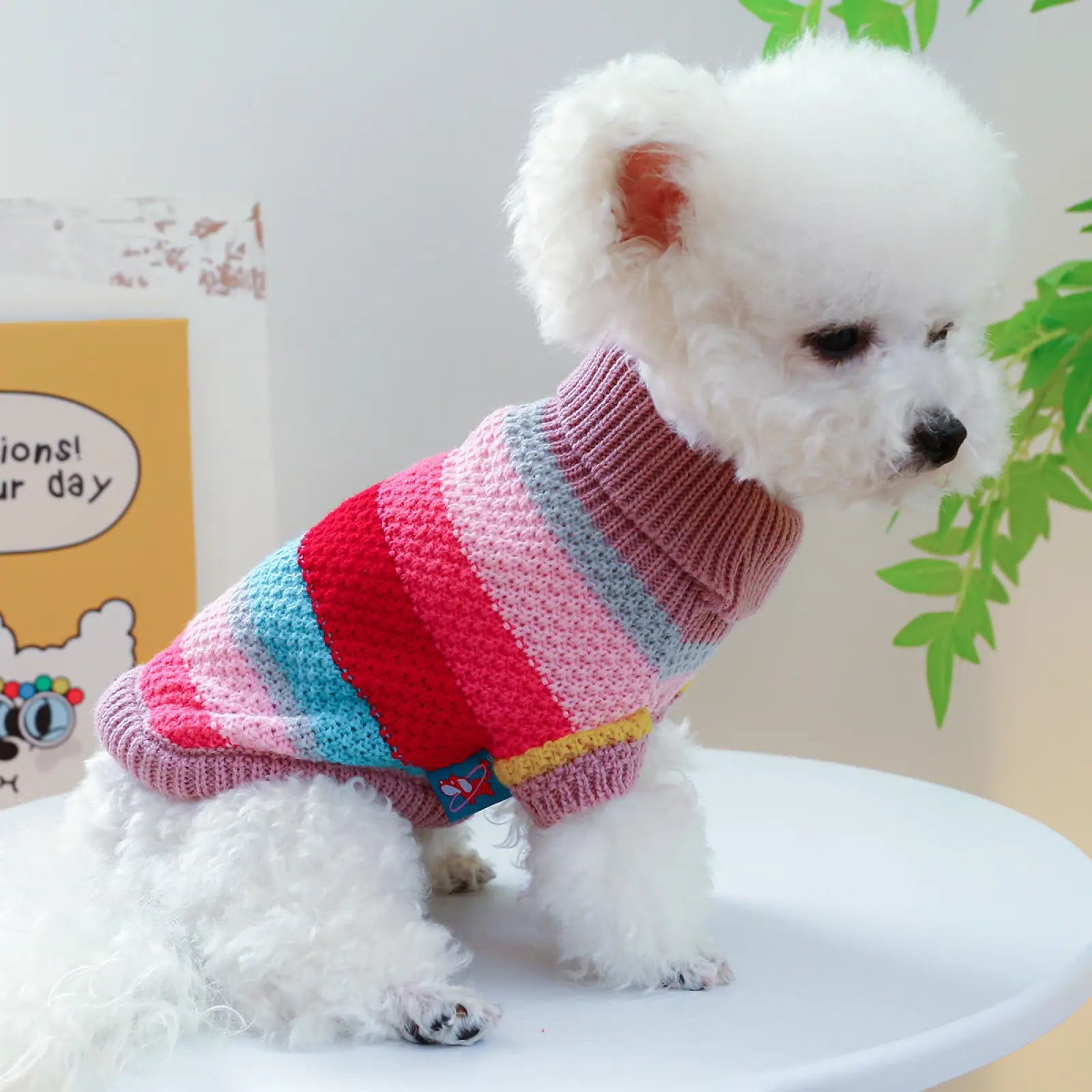 Colorful Striped Pet Sweater for Small Dogs and Cats