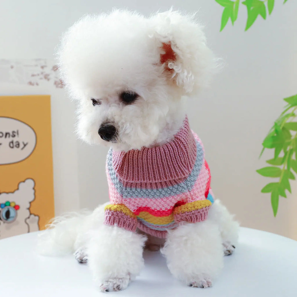 Colorful Striped Pet Sweater for Small Dogs and Cats