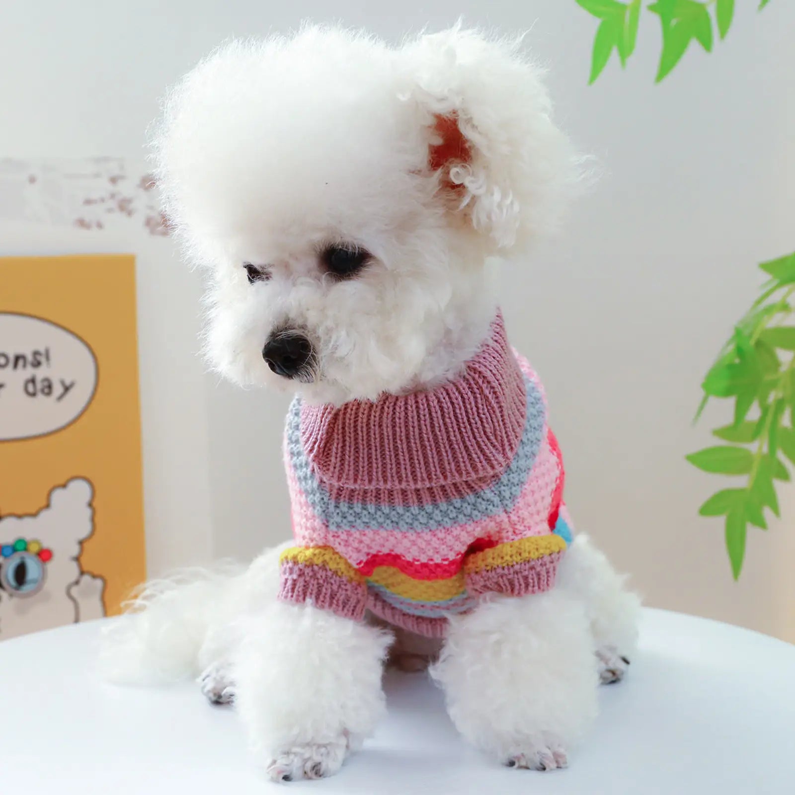 Colorful Striped Pet Sweater for Small Dogs and Cats