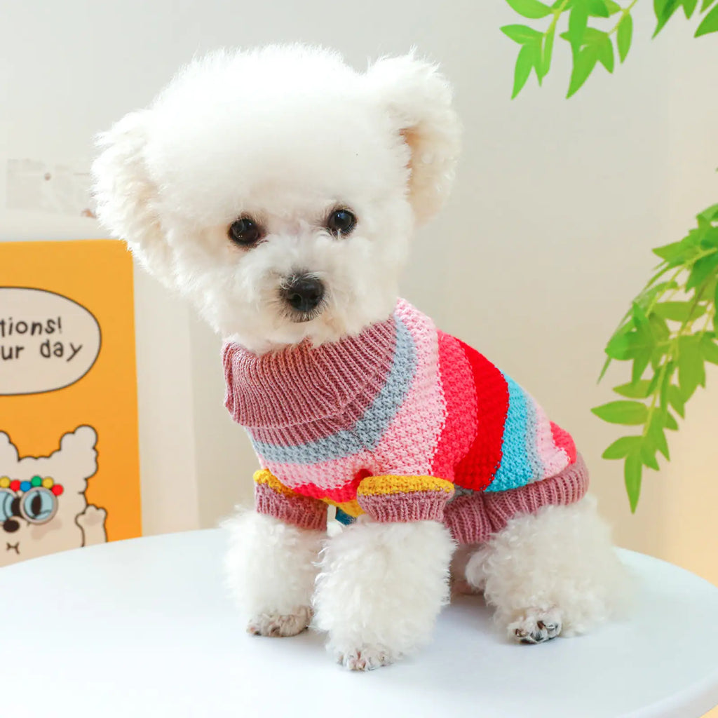 Colorful Striped Pet Sweater for Small Dogs and Cats