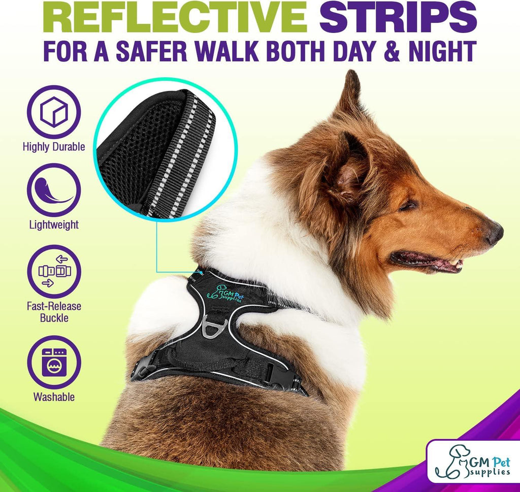 Dog Harness Walking kit and Leash Set