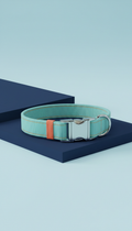 Mint Blue Adjustable Pet Collar
