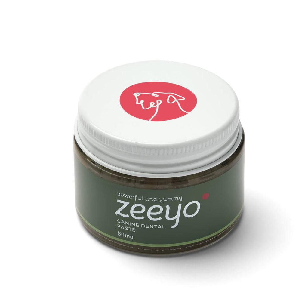 Dog Dental Kit by Zeeyo