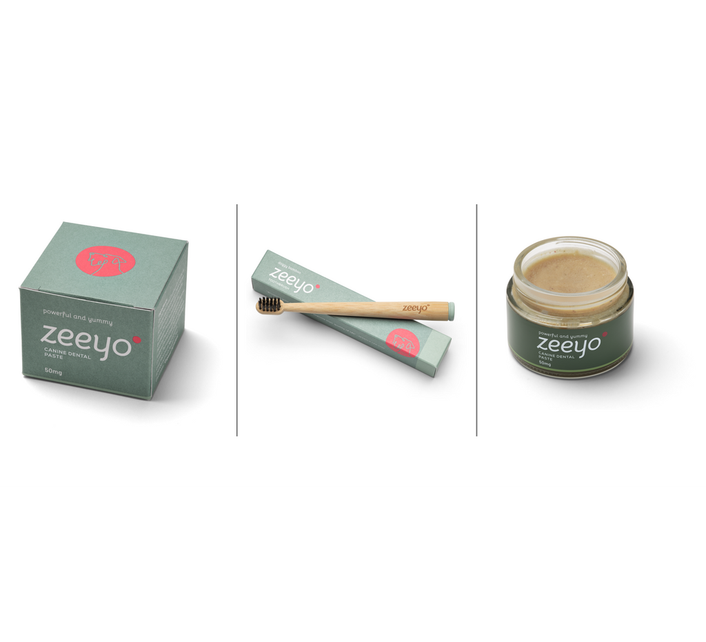 Dog Dental Kit by Zeeyo